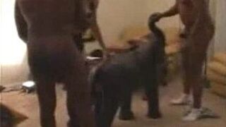 She is perfect for big black dicks - porn video