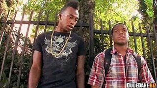 Gay African Guys Sucking Cock - porn video