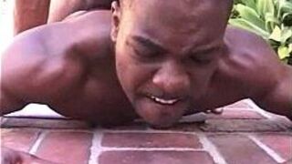 Blackpower - porn video